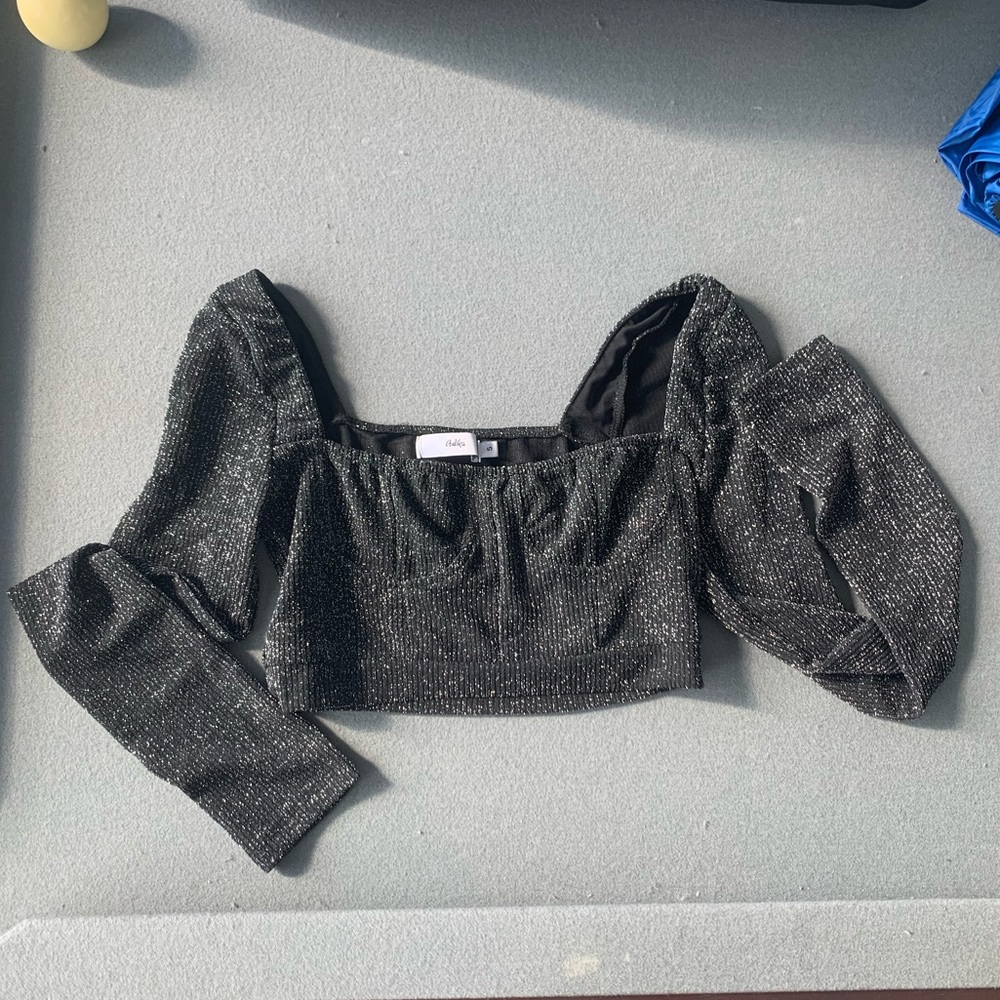 Adika Sparkly Long Sleeve Crop Top